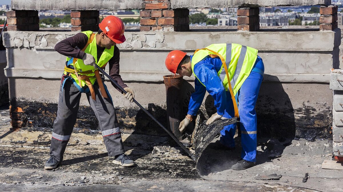    Фото: Aleksey Smyshlyaev/globallookpress.com