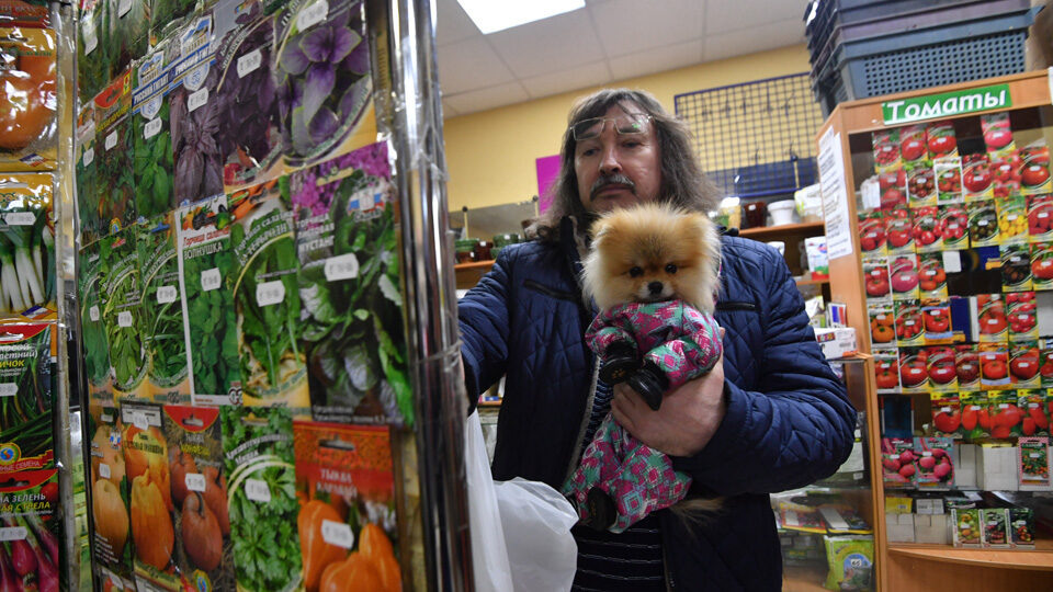 Садовые магазины: осенью пора за семенами. Фото: Victor Lisitsyn, globallookpress.com