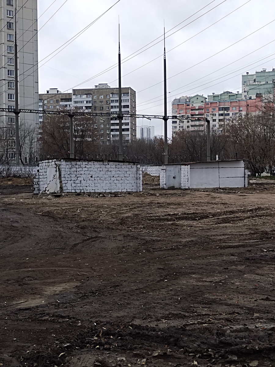 Сладкая парочка! 