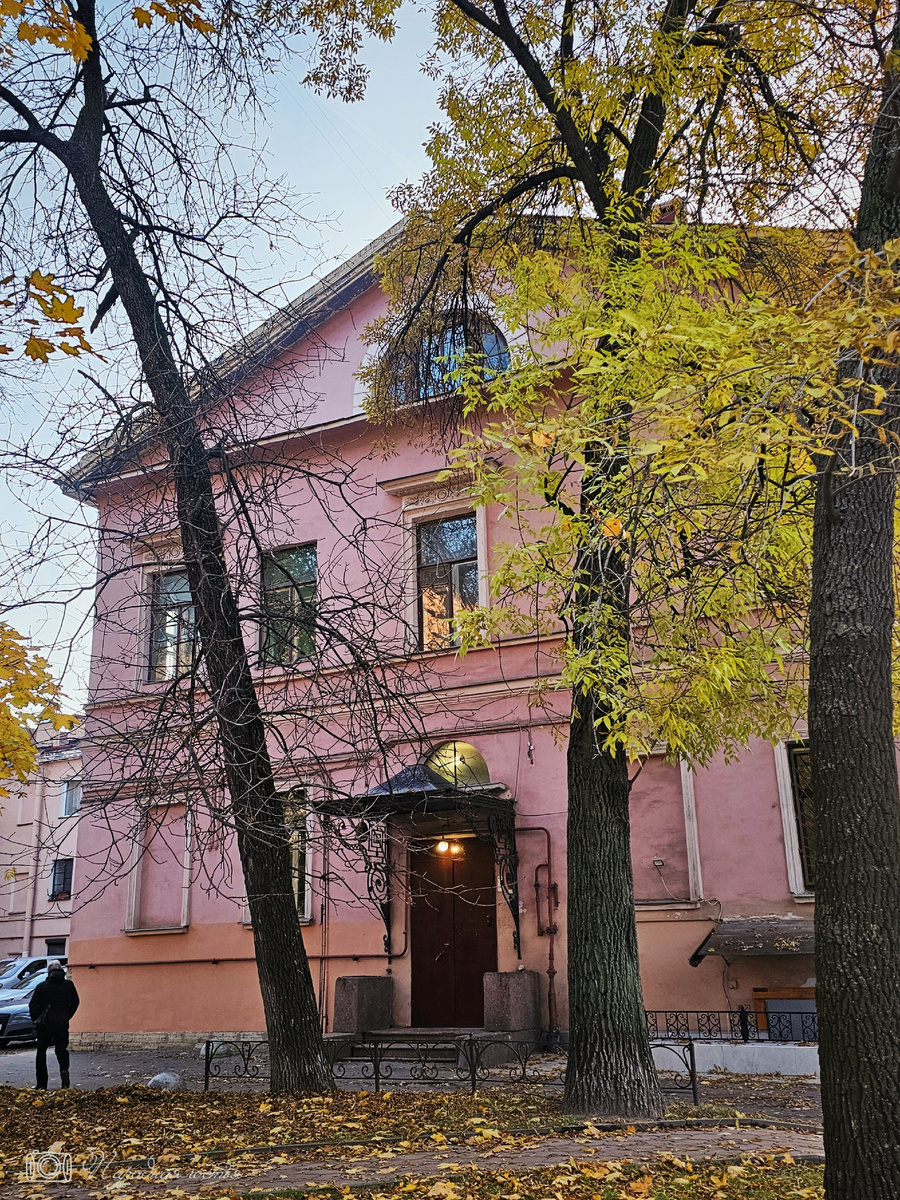 Особняк не сразу привлекает внимание прохожих. Фото: Парадная гостья