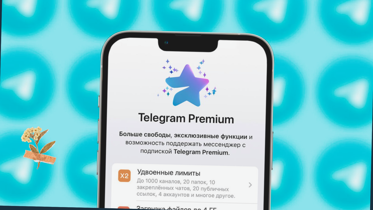 бесплатный тг прем