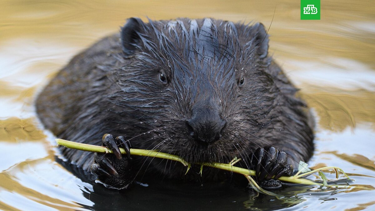    Фото: РИА Новости © 2025, Максим Блинов