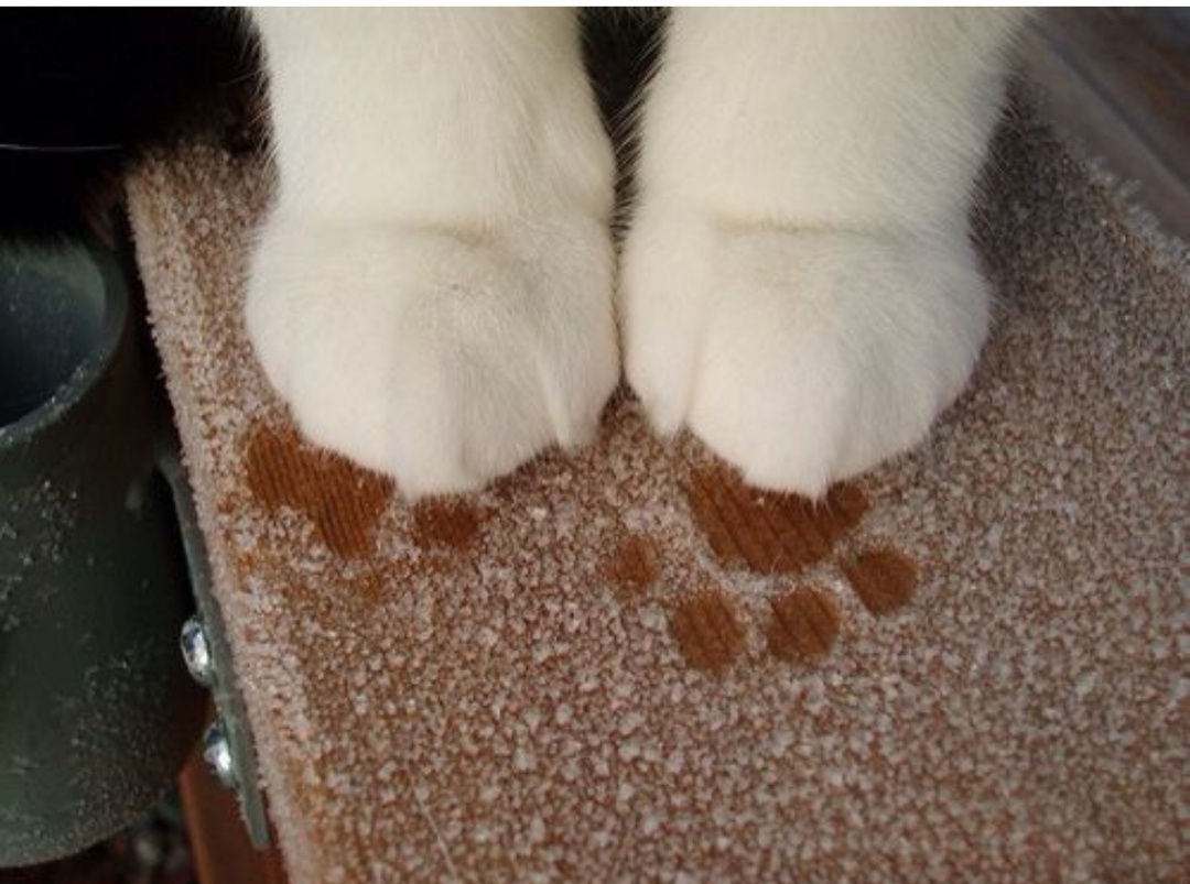 Фото из интернета