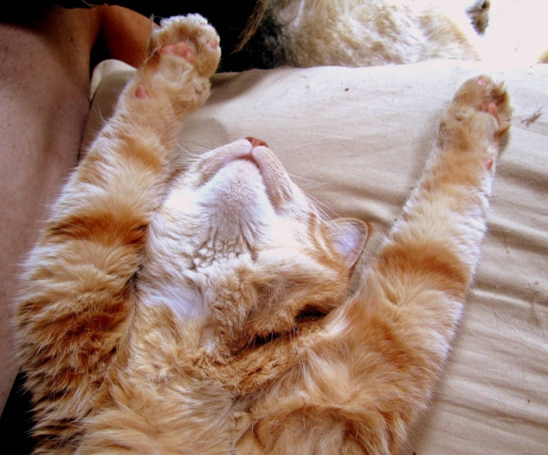 Фото из интернета