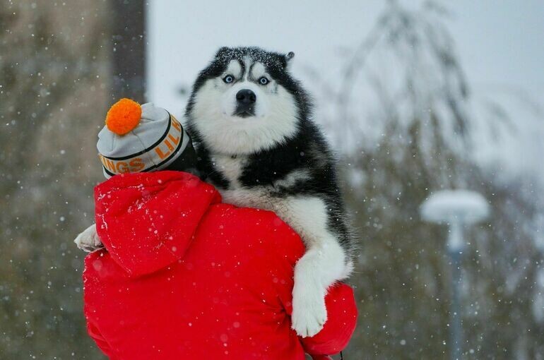   Тихонова Пелагия/Агентство «Москва»