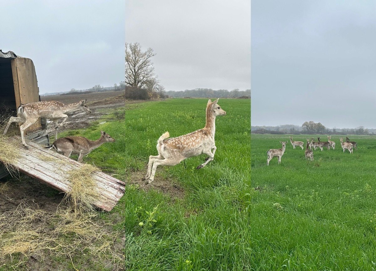    Фото t.me/gbu_kk_krasnodarkraioxota