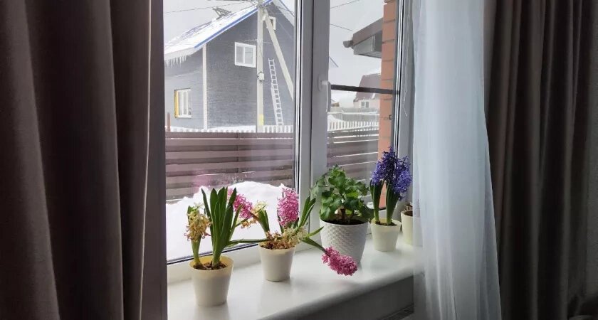    Подоконник больше не холодный, и перестало дуть из стыков: три шага и дома тепло даже в - 40