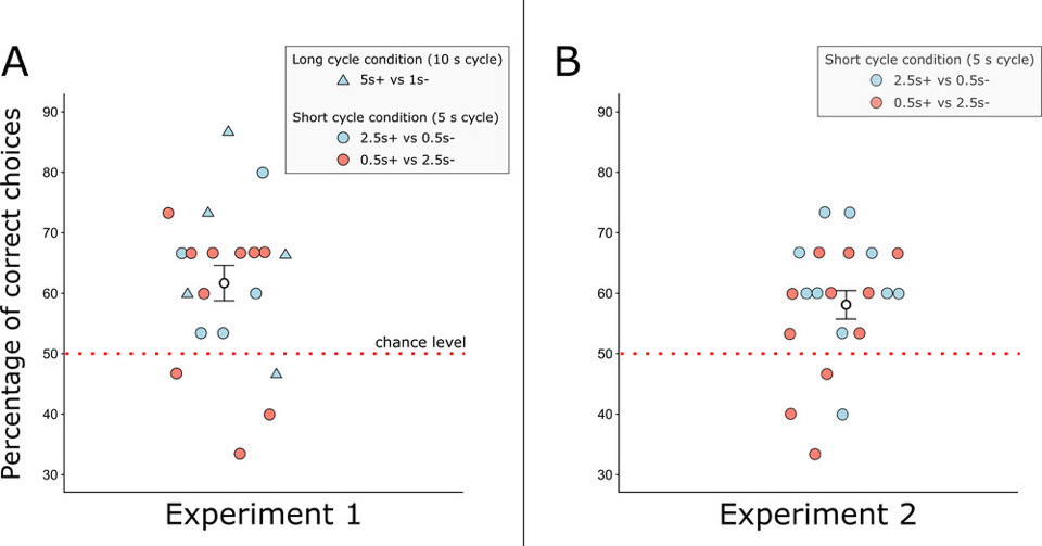  Alexander Davidson et al. / Biology Letters, 2025