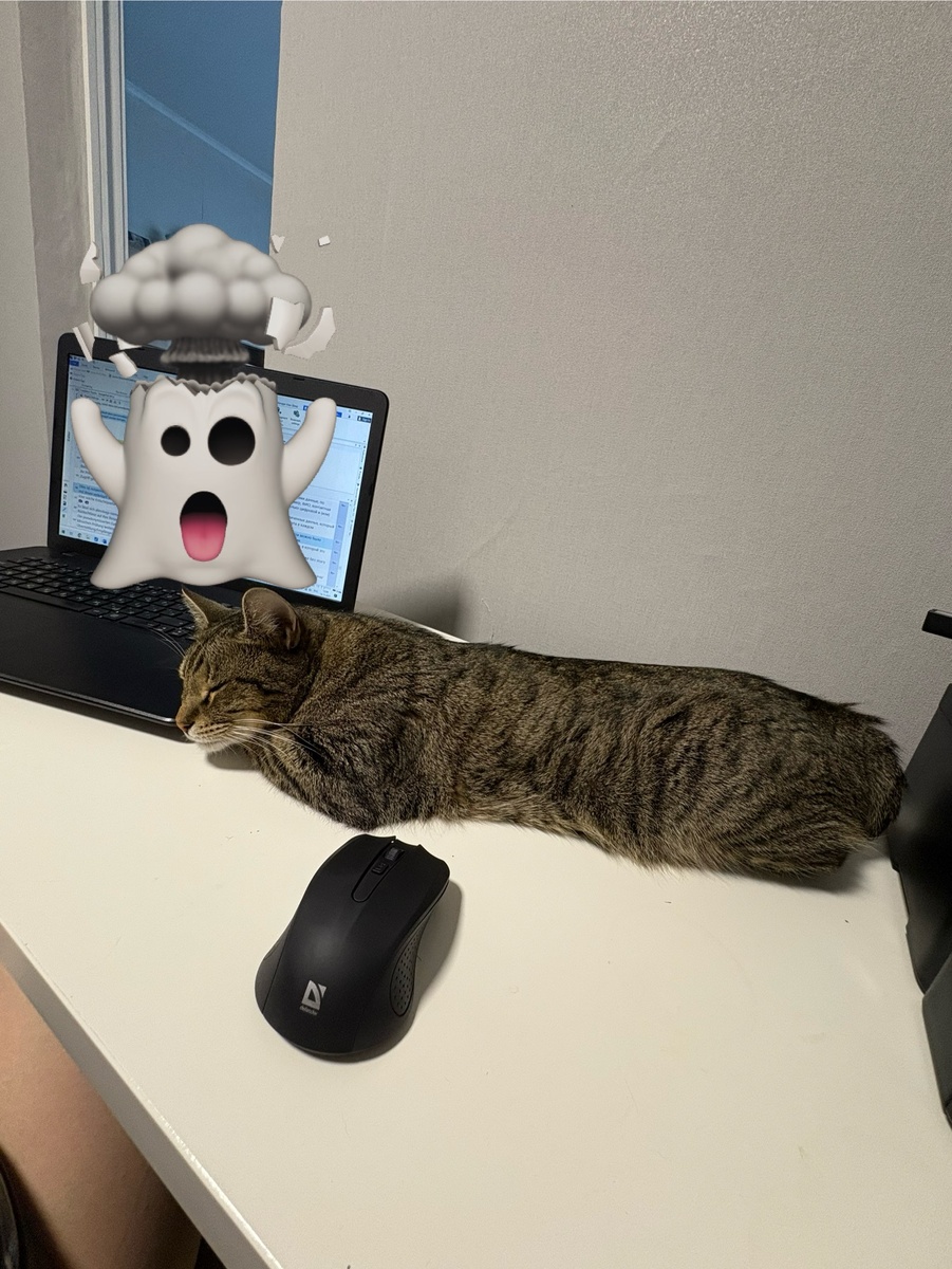 Аймак завтра обещает приехать налаженным🤞