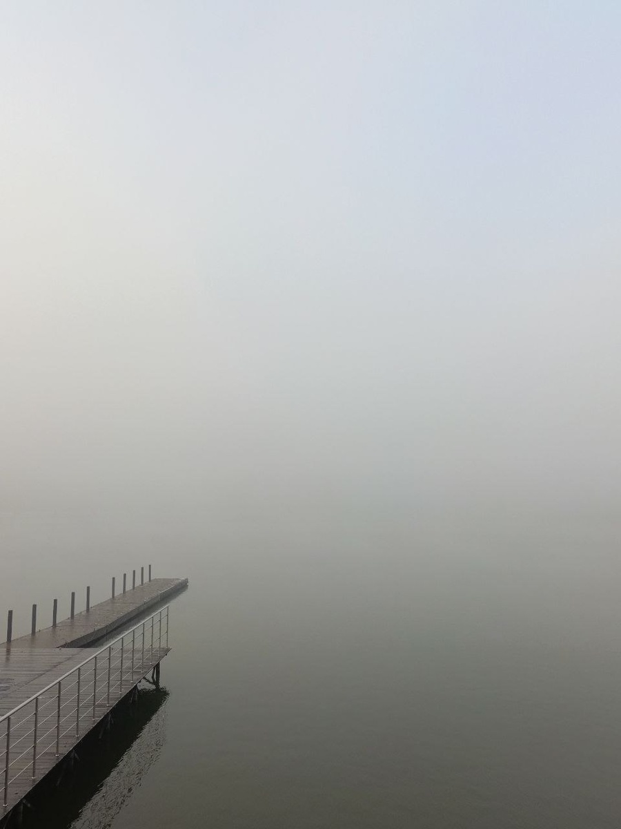 Туман на заливе