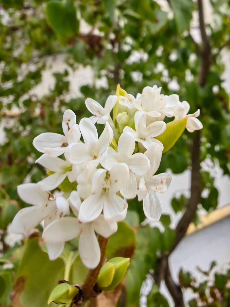 Сегодня. Фото автора канала