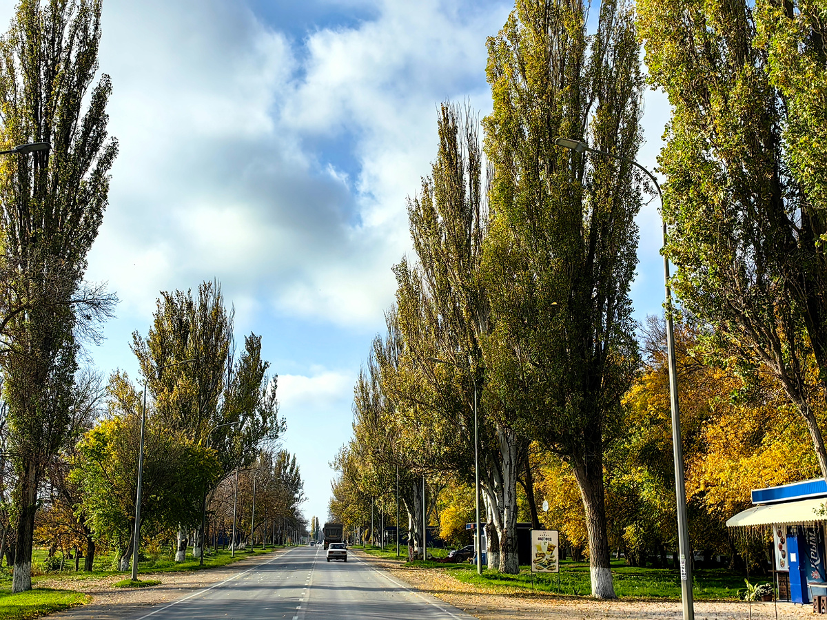 Сегодня. Фото автора канала