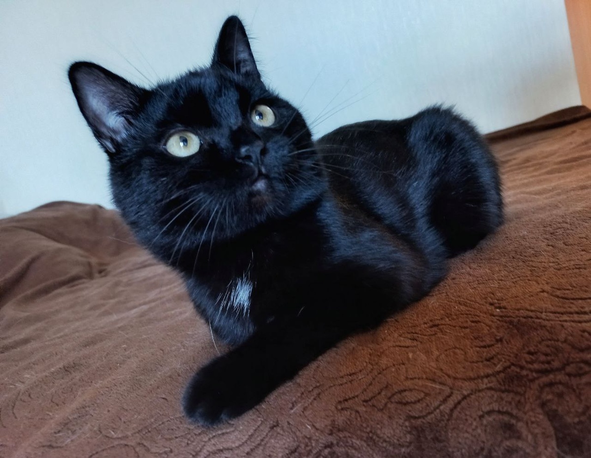 Просто Кенчик :3