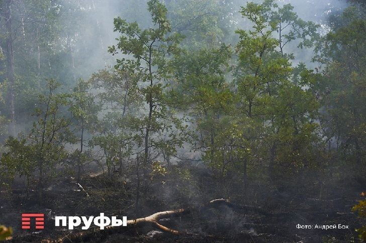    Фото: Пруфы