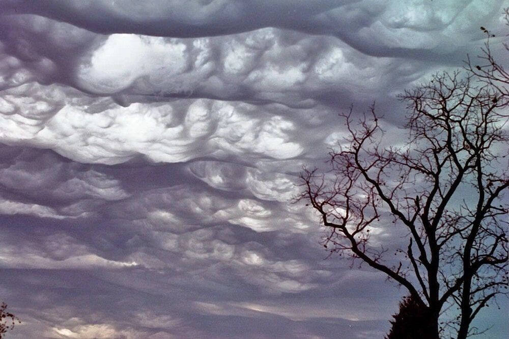     / Источник: (cc) Agathman