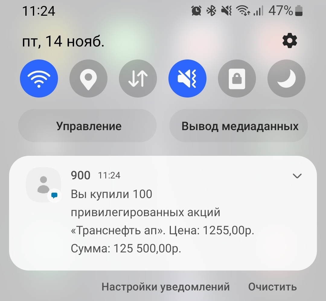 Покупка автора на ИИС 14.11.25.