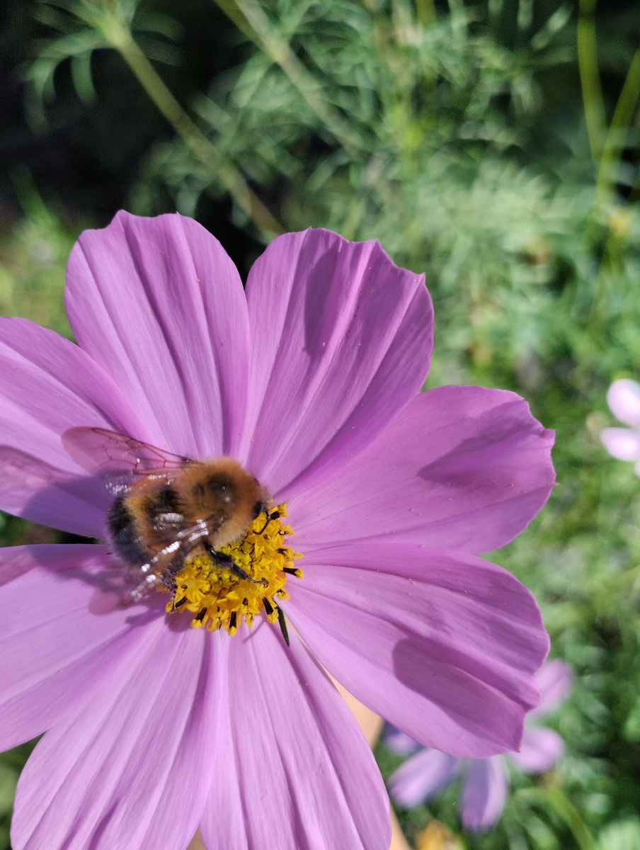 Фото из личного архива