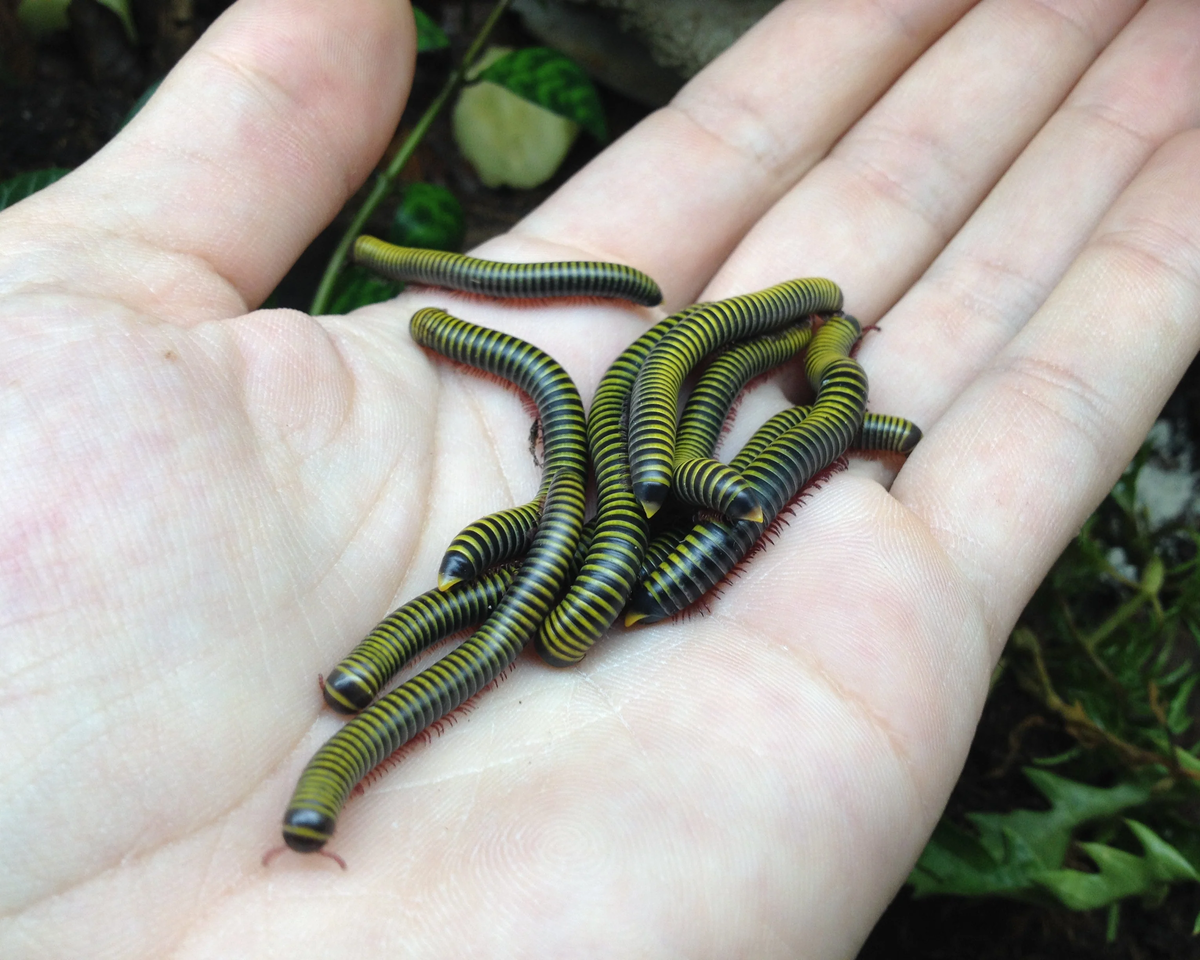 фото из Интернета