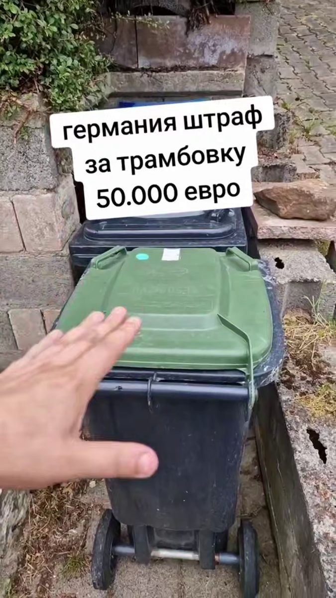 Фото: Скриншот видео