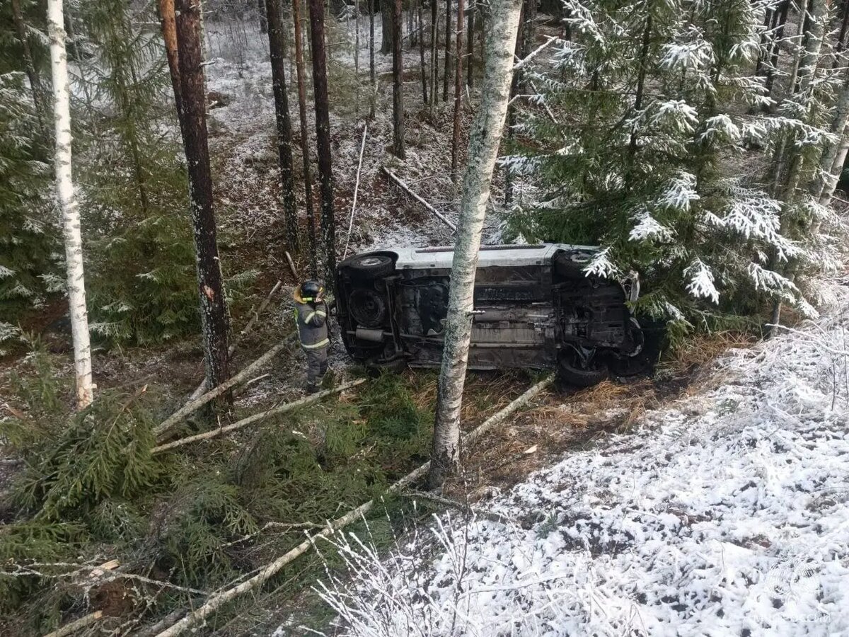    Фото: пресс-служба ГУ МЧС России по Ленобласти