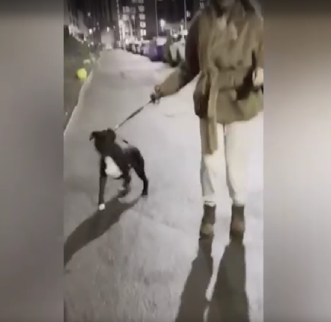 Скриншот из видео 