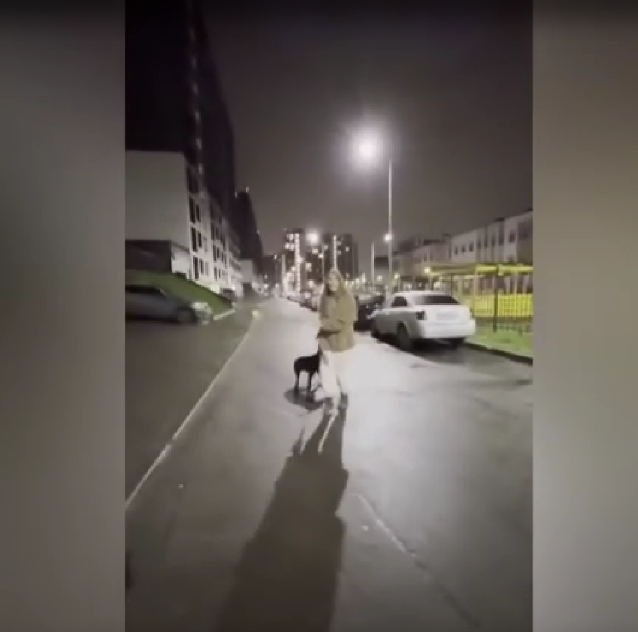 скриншот из видео