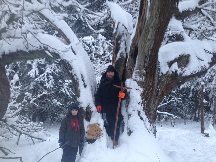 Священный реликтовый Бреховский дуб.