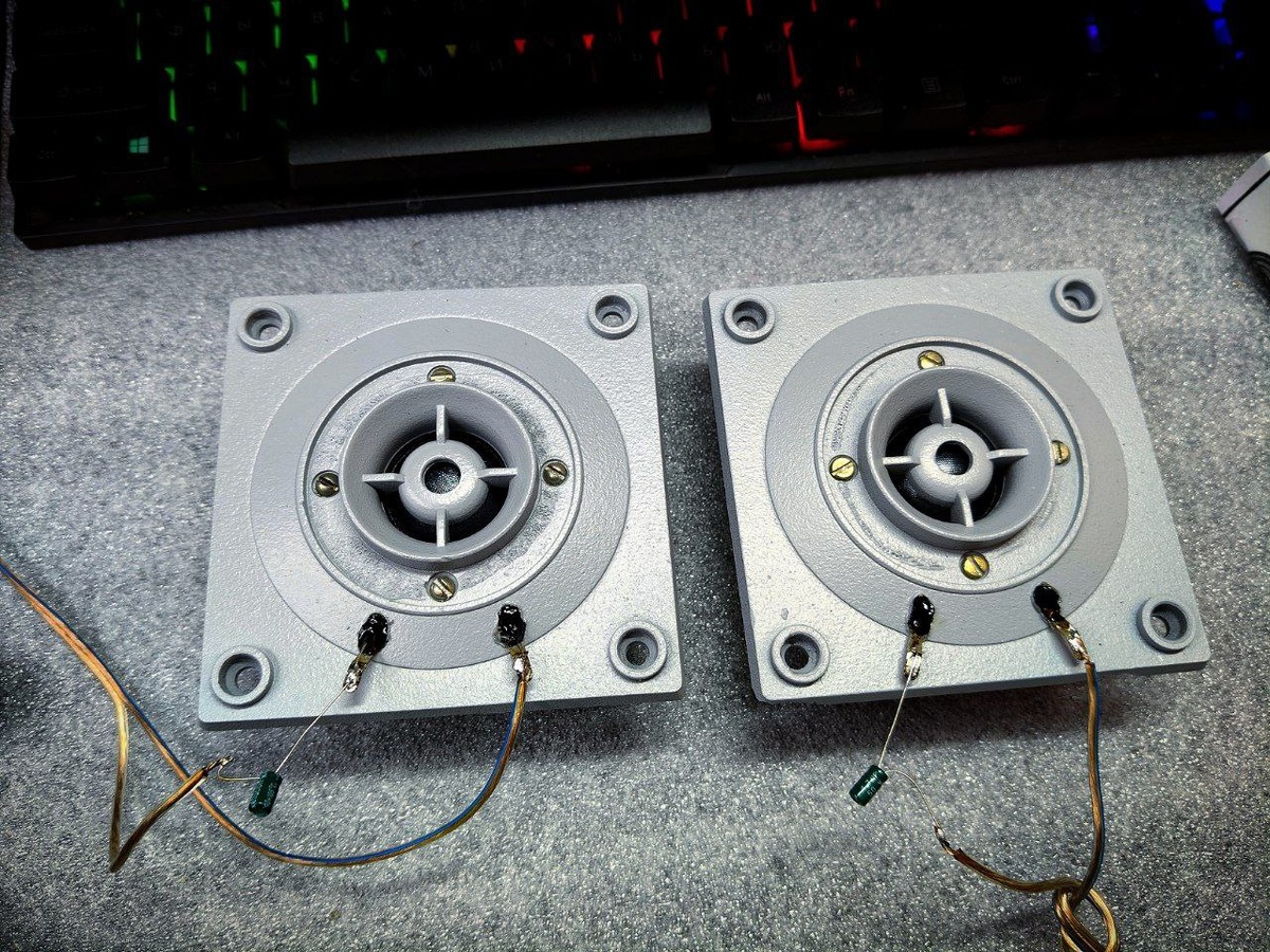 Пищалки для колонок Вега 50АС-106 в сборе.