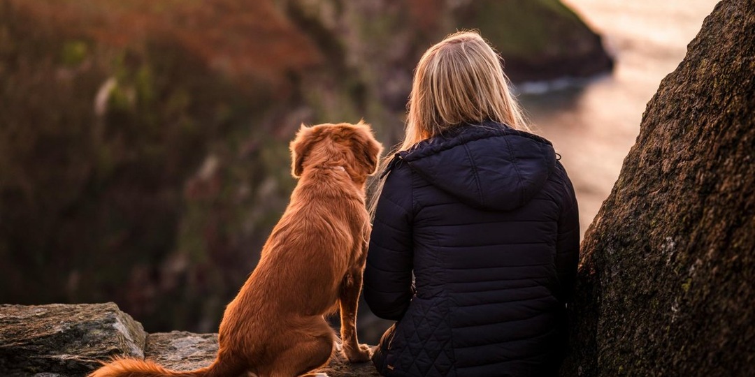 Ученые доказали: общение с собаками замедляет клеточное старение у женщин