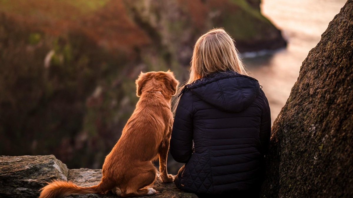    Собаки помогают замедлять старение благодаря теломерам