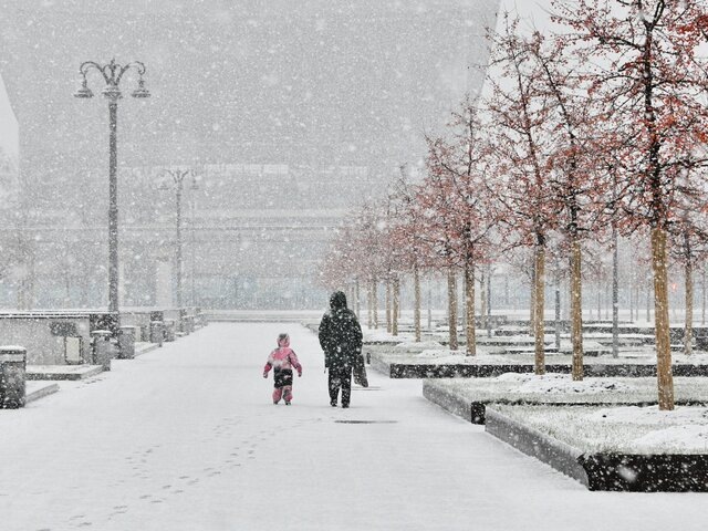    Фото: Москва 24/Юлия Иванко