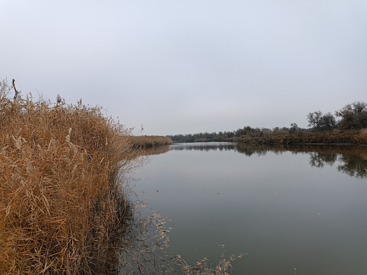 Ну красиво же 