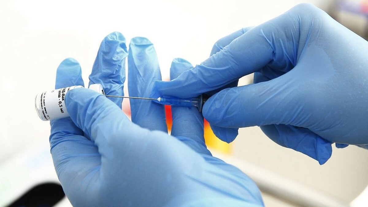    Фото: телеканал «Краснодар»