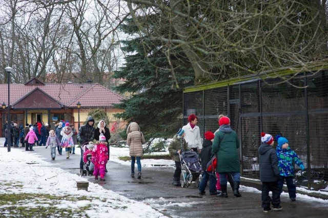   Фото из архива Калининград.Ru