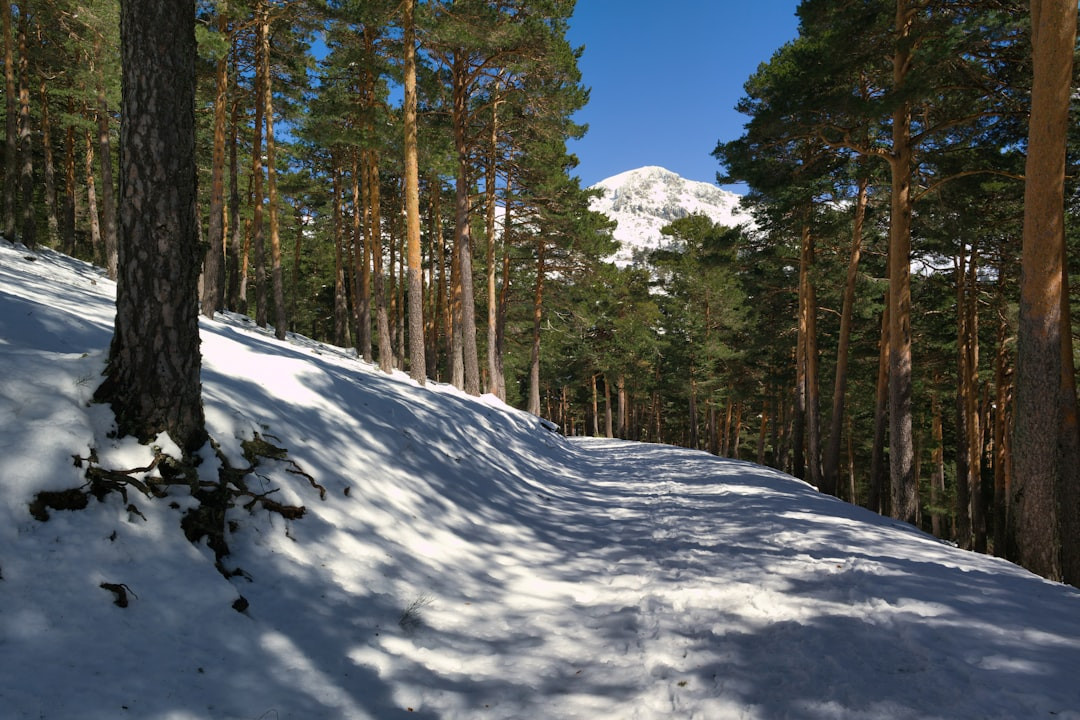    Российские биатлонисты в изгнании: IBU продлил санкции до 2026 года ⛷️❄️
