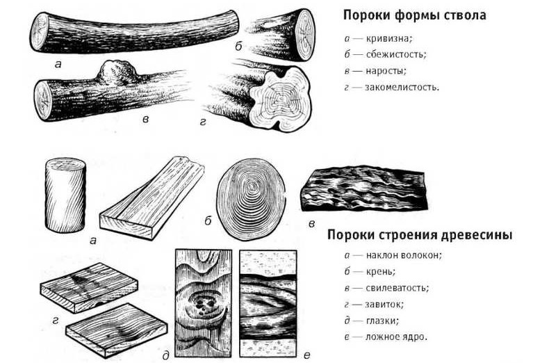 Пороки древесины