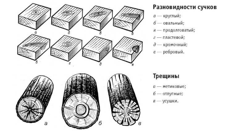 Пороки древесины