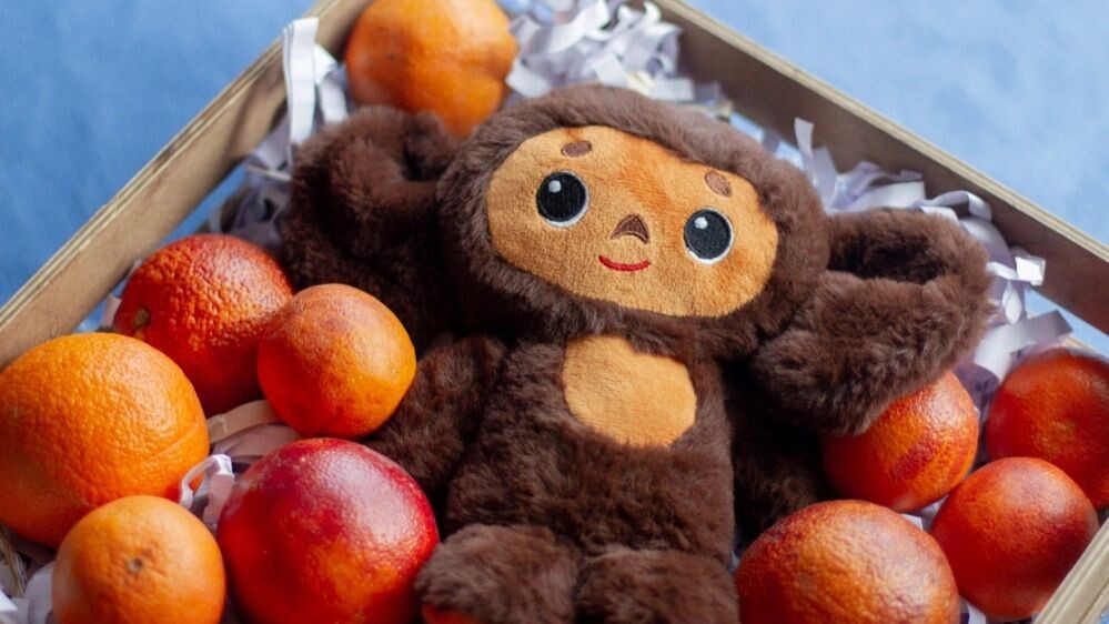    Фото: Risha55/Shutterstock/Fotodom