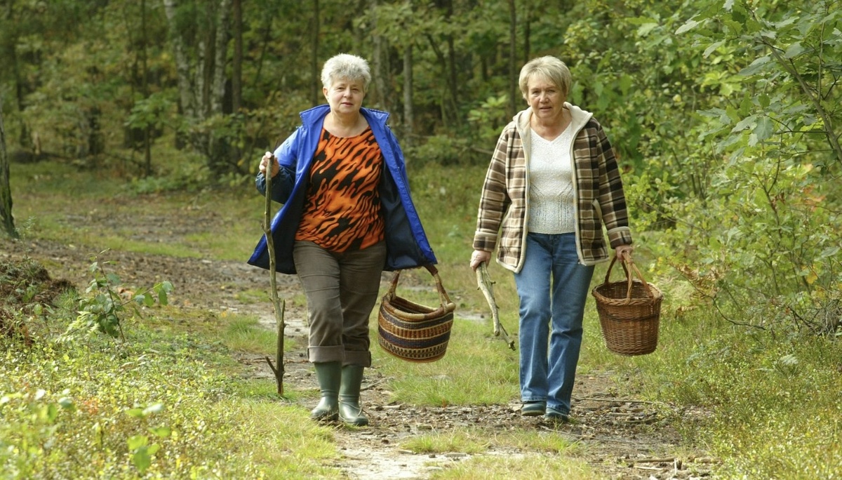 Из открытых источников