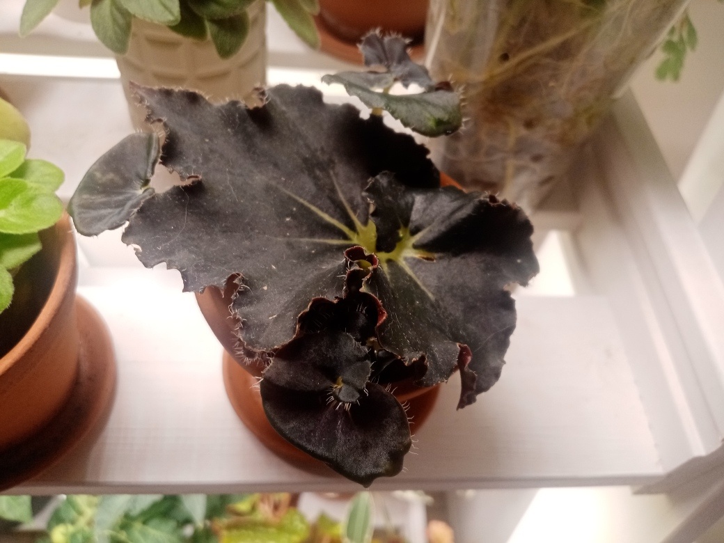 Себе, конечно, же оставила ребёнка.