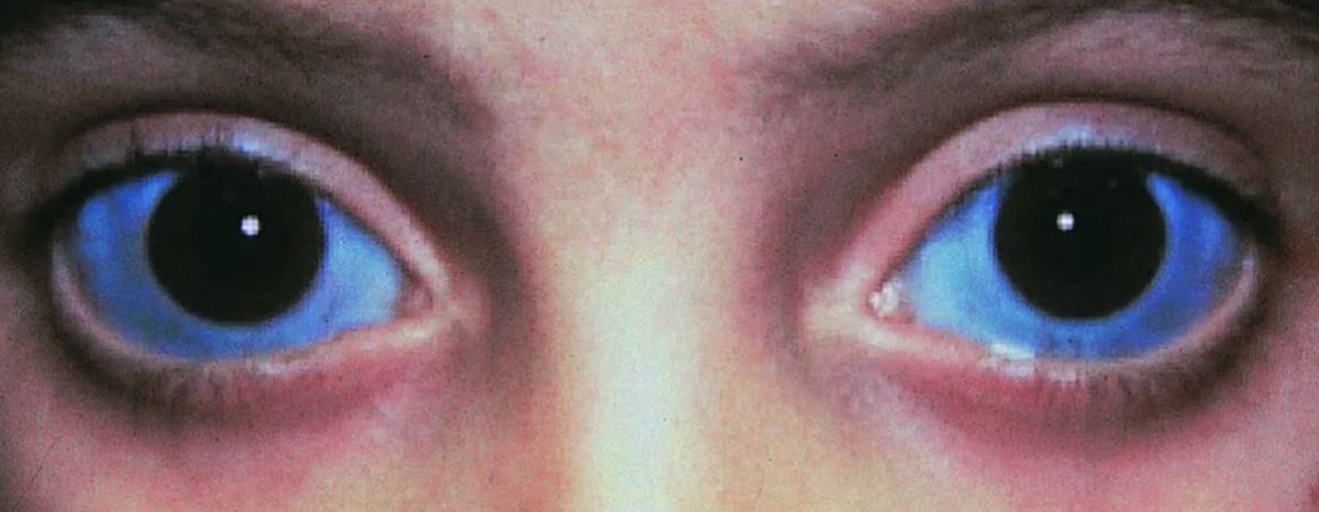 Изображение из открытых источников