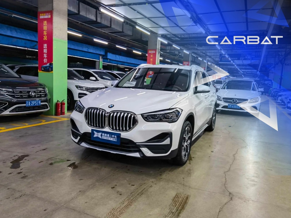 Младший брат из семейства Х. 