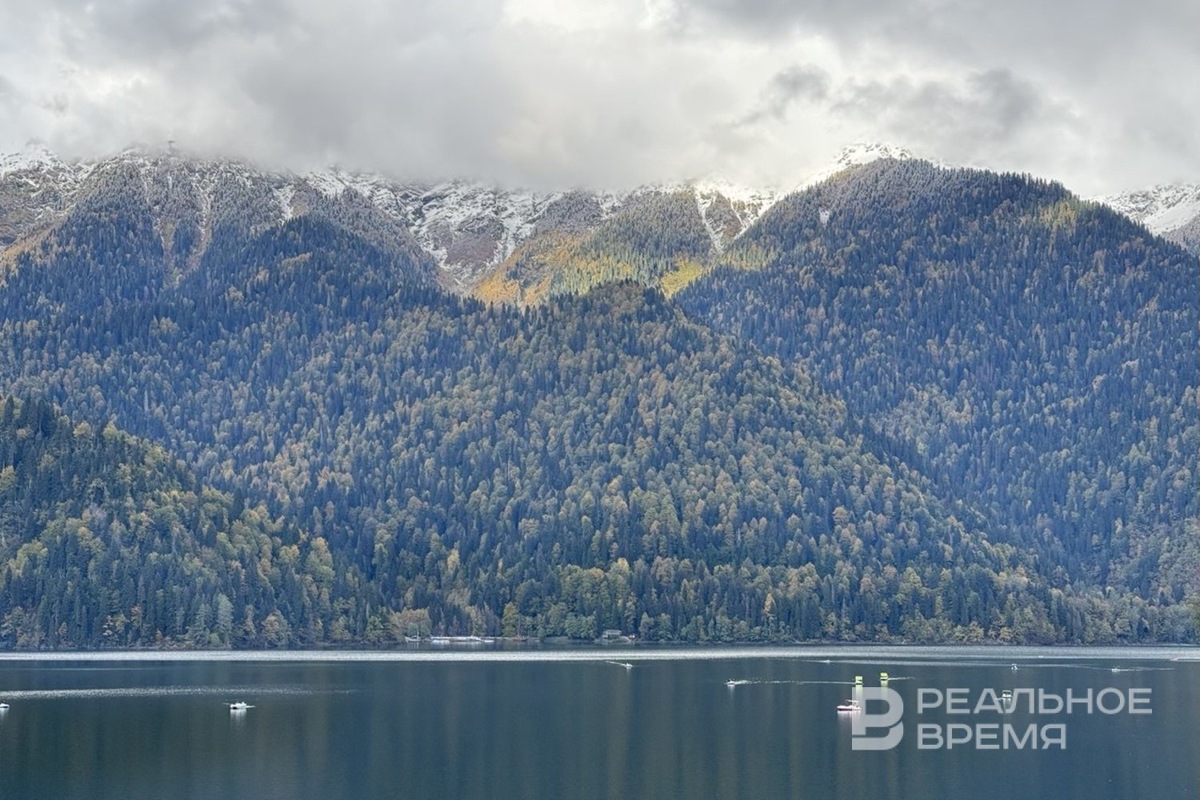   Дарья Пинегина / realnoevremya.ru