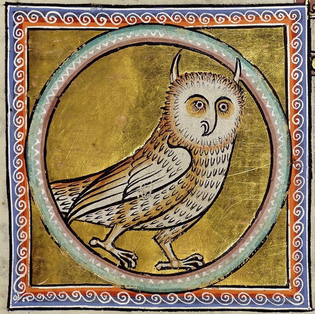 «Сова», «Абердинский бестиарий», XII в.