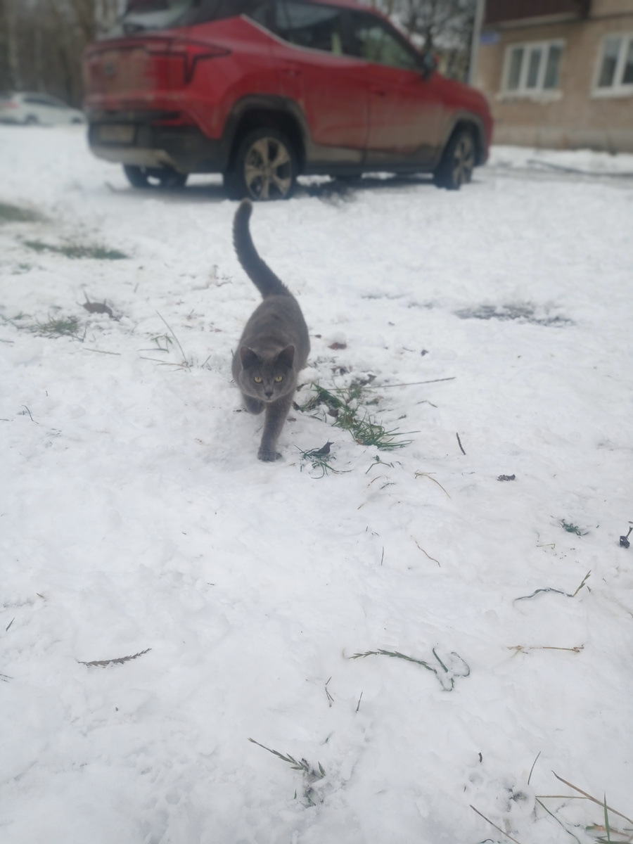 Раз и ⛄снег