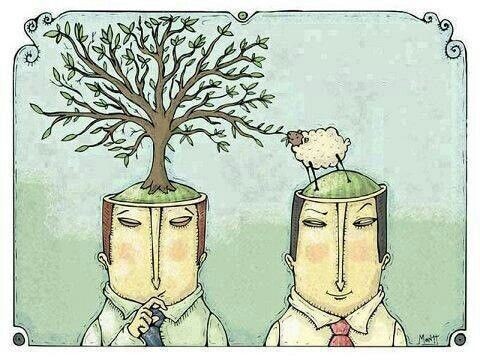 Фото взято из Pinterest