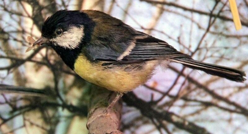    медиасток.рф