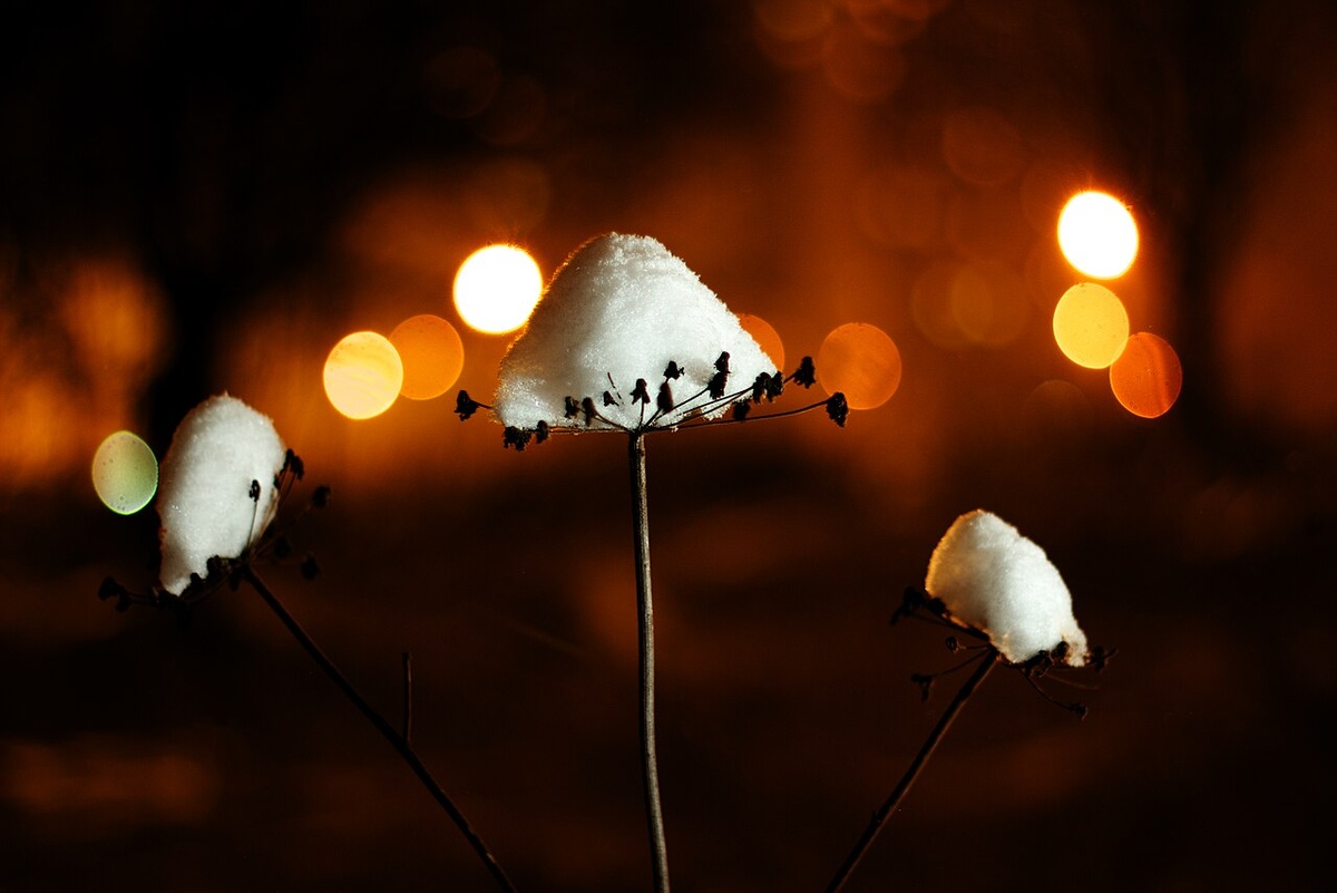    Фото: freepik.ru