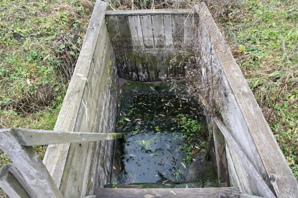    Фото: Министерство природных ресурсов Курской области