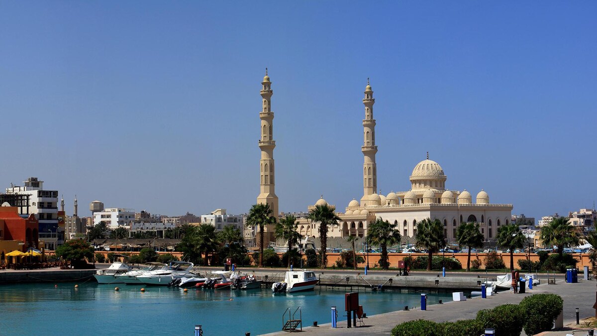    Фото: E. Teister/globallookpress.com